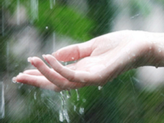 비가 오던 어느날