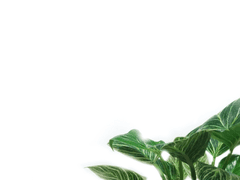 신뢰가 무너졌다?