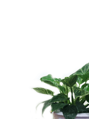 일상속에서 보여지는 것을 에세이로 적어보는 편견 시리즈