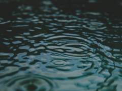 비웅덩이에 무엇이 보여?