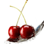 체리🍒