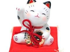 필름골드] 뻘썰모음