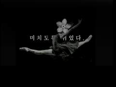 비로소 깨달은 아름다움