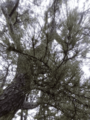 [창작]내 연인은 OO