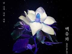 백유화(白楡花) - 上