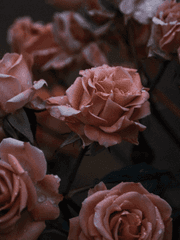 마지막 인사는 아직 못했는데요