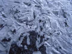 그레이슨 케이든 / 22 / XY