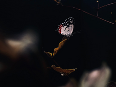 [작심삼월] 저출산 타파 프로젝트 002