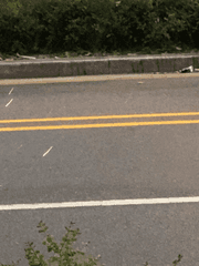 당신이 잊은 1월의 일기