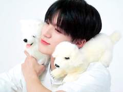 [이제노] 범랑(凡:狼)