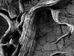 마법을 사랑하는 마법사