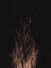 페어리 테일 드림