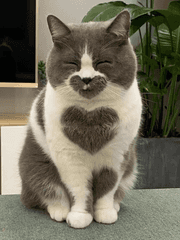 크리처를 죽여라!