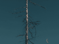 마지막 겨울 S2 _06