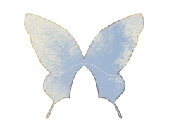 이십일그램의 히어로