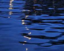 감정 앞에서는 누구나 바보가 됩니다