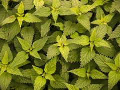 1st: 01_마법약 과제