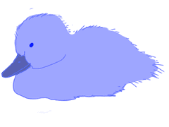 100일 챌린지 (11)