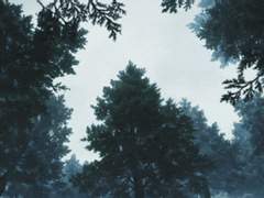 #아마도 이럴 것 같아_백야