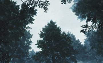 #아마도 이럴 것 같아_백야