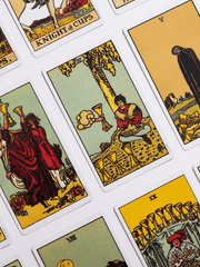 타로보는 렧 커미션