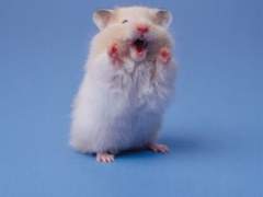 오작교는 싫습니다 < 스완슈슈 > 망상글 2