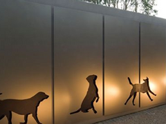 또 다른 생명들의 의사