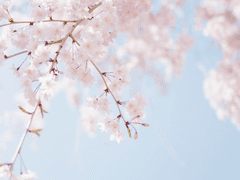 [ 謝 詩 / 19 / 남성 ]