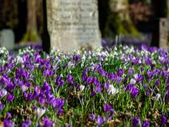 [흡툭죽/사테마나] This Is The