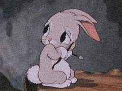 💜구독자 감사 이벤트(~2월 10일까지)💜