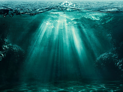 [당보청명] 直到连摆尾的力气都失去