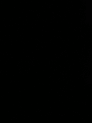 머리 속의 쓰레기장