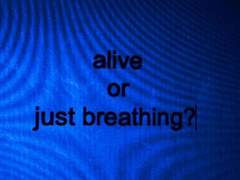 사랑은 어쩌다 사랑이 됐을까*