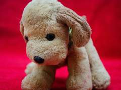 일라이/20/개 인수