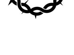 하윤우 / 2학년 / XY