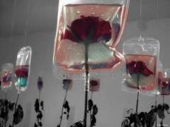 나의 꽃잎이 흐드러지게 떨어지는 그 순간에도 난 당신을 알수 없었다