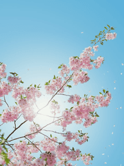 그 마족과 결혼한 사정