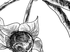 사랑스러운 ■■