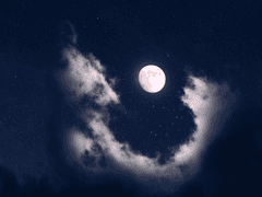 3. He was knowing everthing.