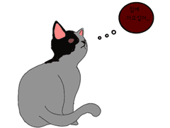 100일 챌린지 (12)