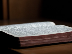 [예고] 공주를 사랑한 어느 기사의 이야기