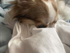 몬스타엑스 포토이즘