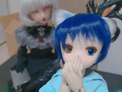 야슈톨라 돌피드림(DD) 개봉기