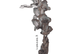 과제 1, 기초 마법 이론