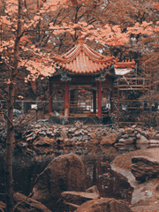 임과 협과 객 1기 1부 :: 지경 자맹에서의 이야기