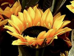 아들이 태어났다고 한다