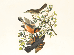 Elapse :: 흐르다 (1)