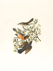 2023 작심삼월 챌린지