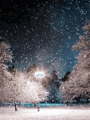 사랑의 서술 시점