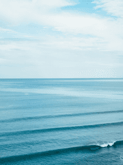 [ 이팀장님 김배우님 ]